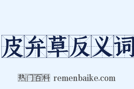 皮弁草反义词是什么意思的图片